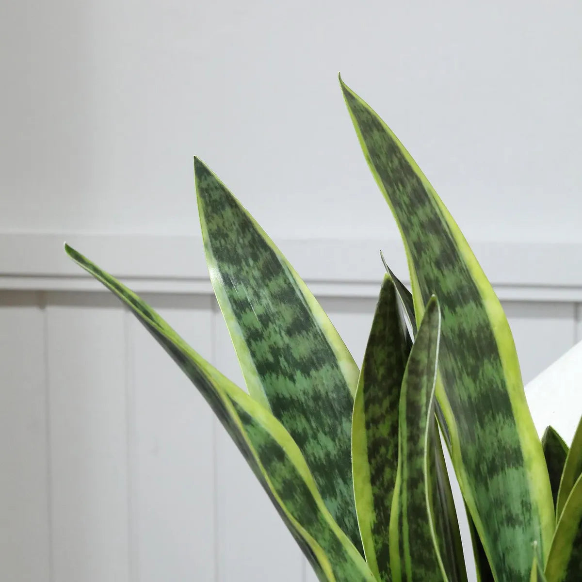 Planta Artificial Sansevieria 70 cm Verde