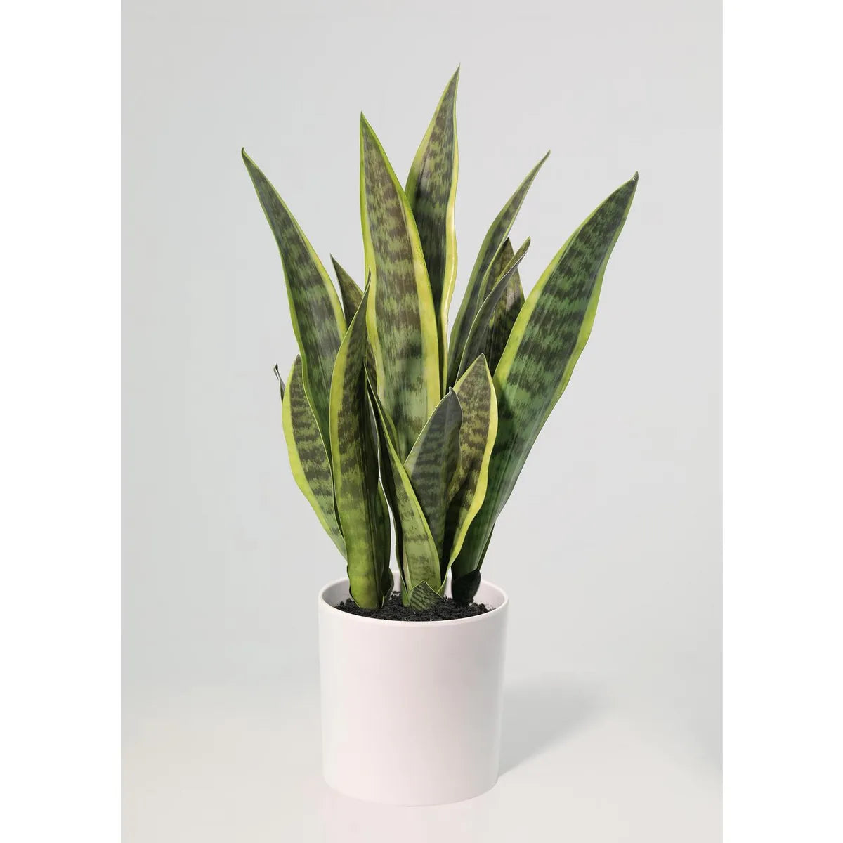 Planta Artificial Sansevieria 70 cm Verde