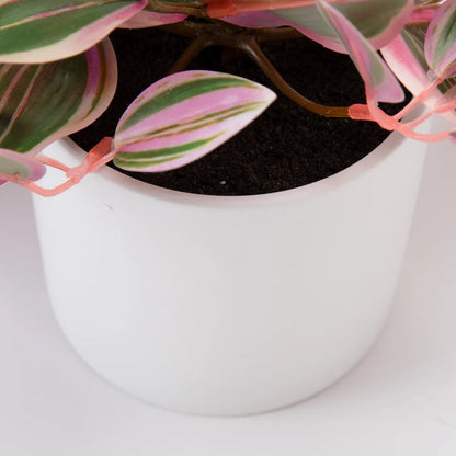 Planta Artificial Colgante Cebrina Con Macetero 10X10 Cm Mica