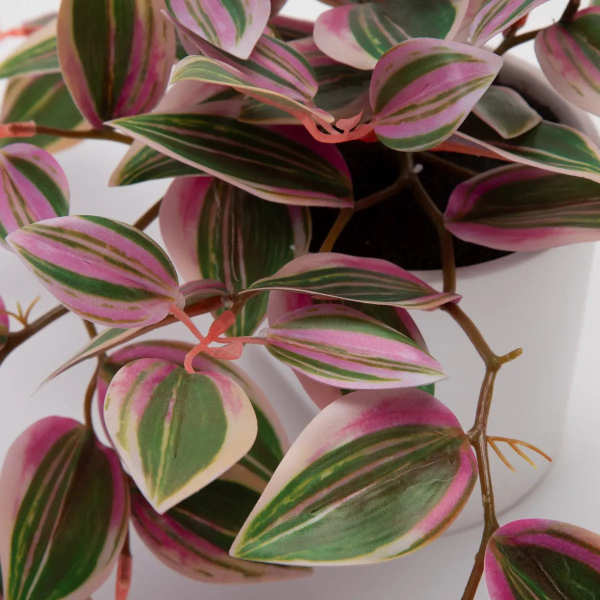 Planta Artificial Colgante Cebrina Con Macetero 10X10 Cm Mica