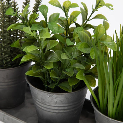 Set 3 Plantas Artificiales Con Macetero 36.8 Cm Con Bandeja Mica