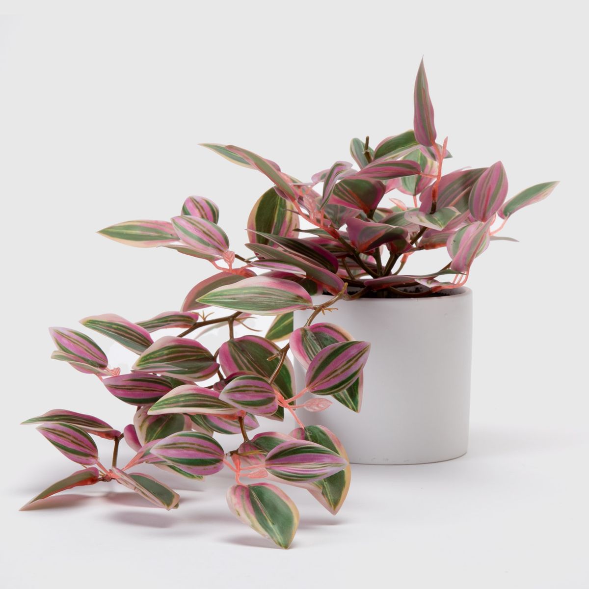 Planta Artificial Colgante Cebrina Con Macetero 10X10 Cm Mica