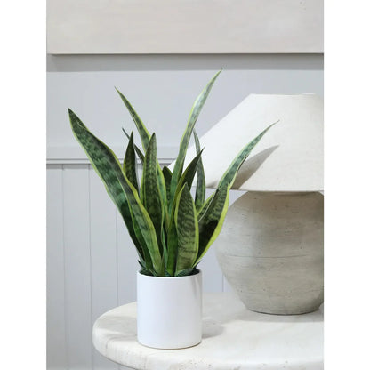 Planta Artificial Sansevieria 70 cm Verde