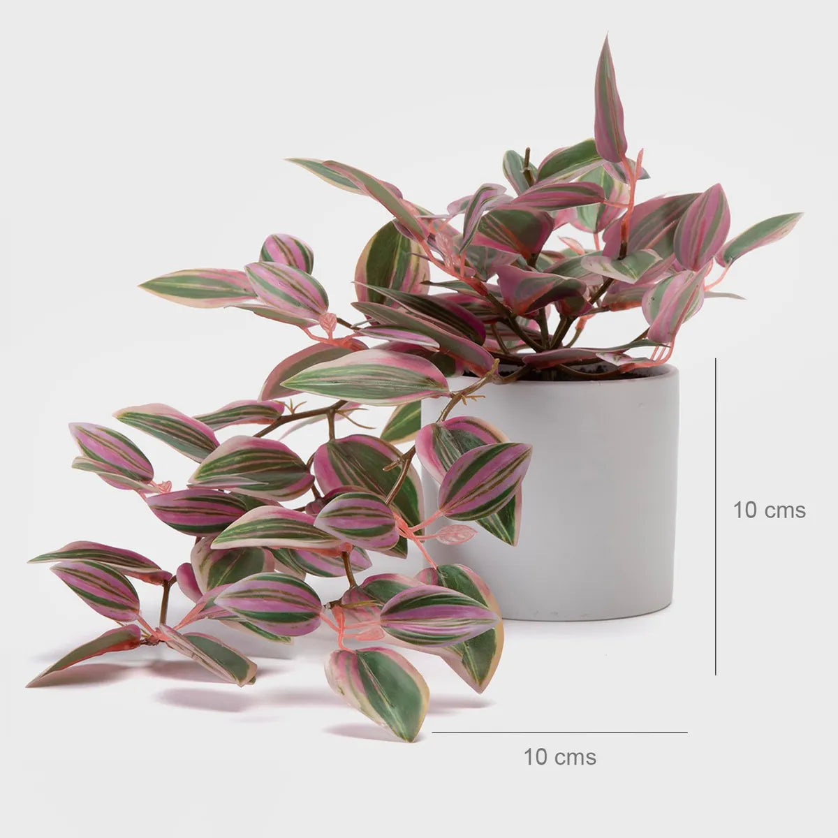 Planta Artificial Colgante Cebrina Con Macetero 10X10 Cm Mica